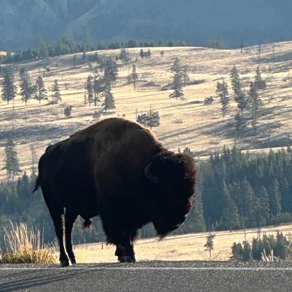 Meet your Posher, Shannon - Picture 5 of 17